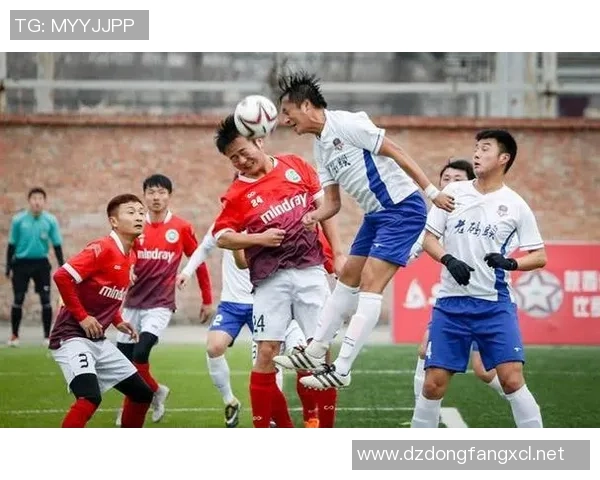 真品足球的魅力与价值探讨让我们一起领略足球的真实风采与激情