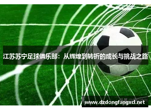 江苏苏宁足球俱乐部：从辉煌到转折的成长与挑战之路