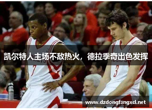 凯尔特人主场不敌热火，德拉季奇出色发挥