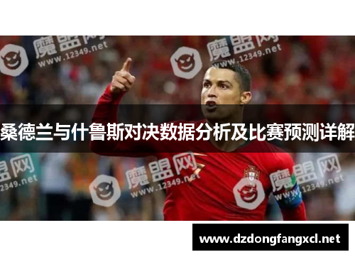 桑德兰与什鲁斯对决数据分析及比赛预测详解