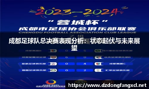 成都足球队总决赛表现分析：状态起伏与未来展望