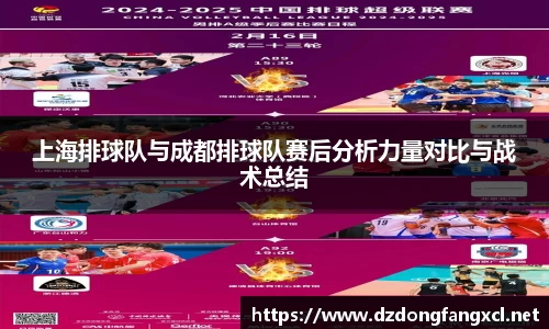 上海排球队与成都排球队赛后分析力量对比与战术总结